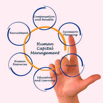 Human Capital Comparison